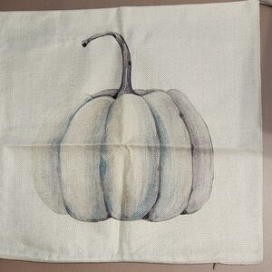 Elegant Silver Pumpkin Fall-Halloween Pillow Cover
